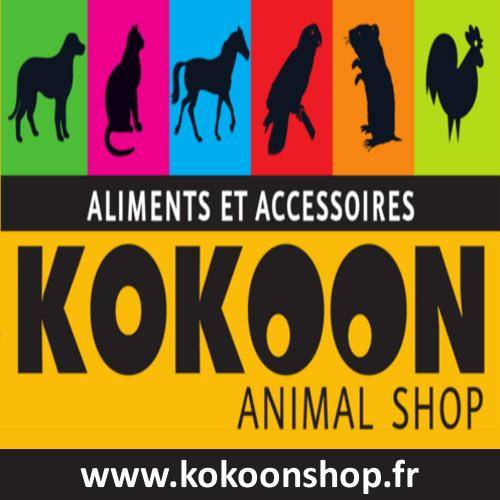 magasin d'accessoires pour chien pas cher à Toulon