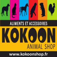 magasin d'accessoires pour chien pas cher à Toulon