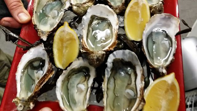 Vente à emporter de plateaux de fruits de mer Marseille Vieux Port