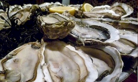 Nos prestations sur le secteur de à Marseille Mucem proche du Panier